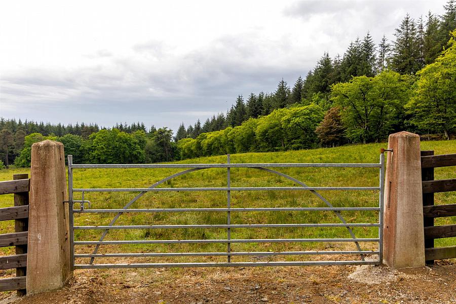 Land, Yard & Outbuildings At Carnearney Road