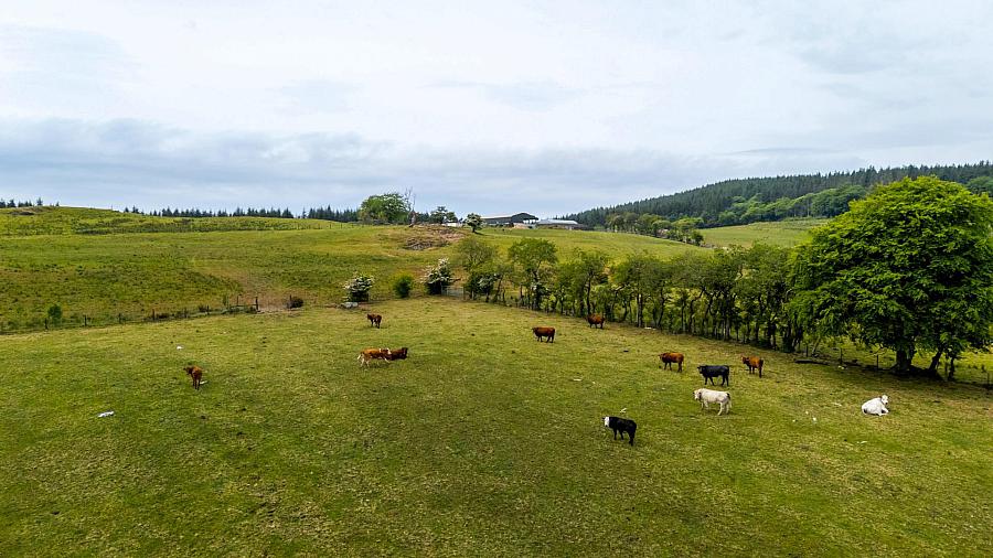 Land, Yard & Outbuildings At Carnearney Road