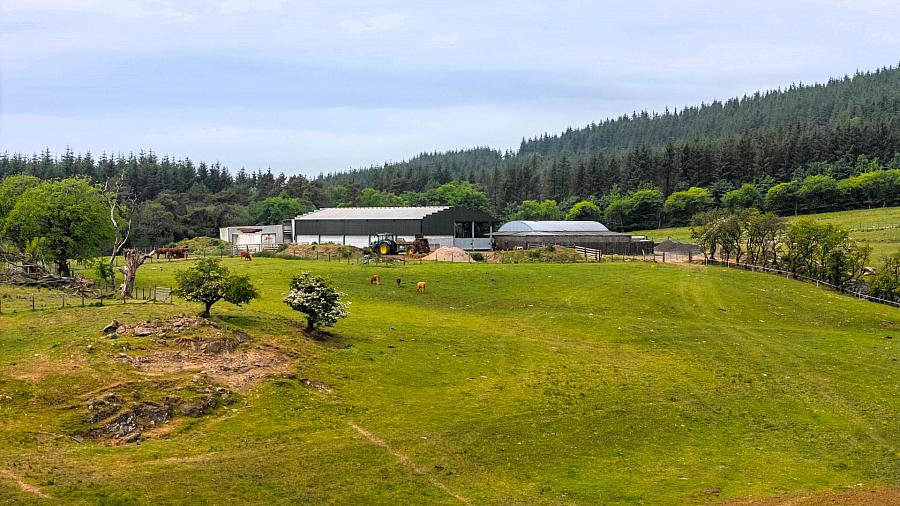Land, Yard & Outbuildings At Carnearney Road