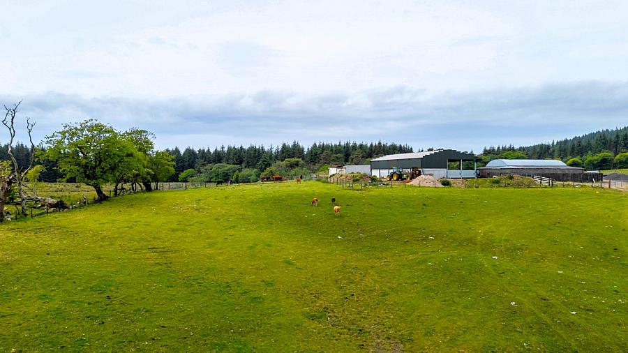 Land, Yard & Outbuildings At Carnearney Road Land, Yard & Outbuildings At Carnearney Road
