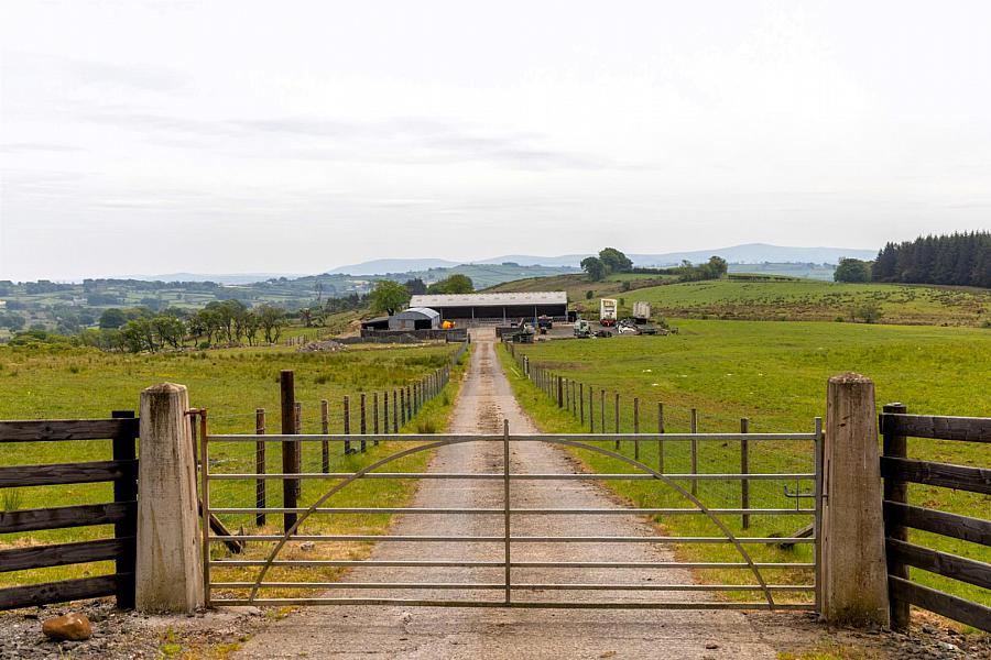Land, Yard & Outbuildings At Carnearney Road