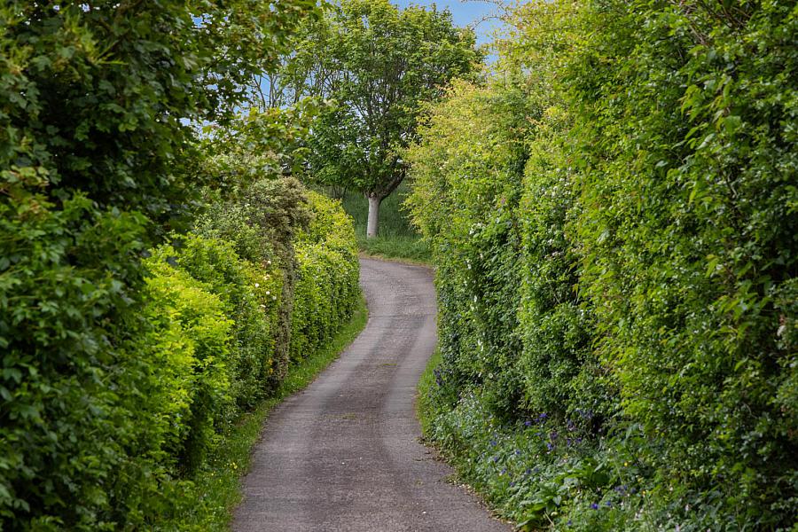 Kilcoan Gardens, 240 Middle Road