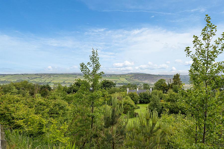 Kilcoan Gardens, 240 Middle Road