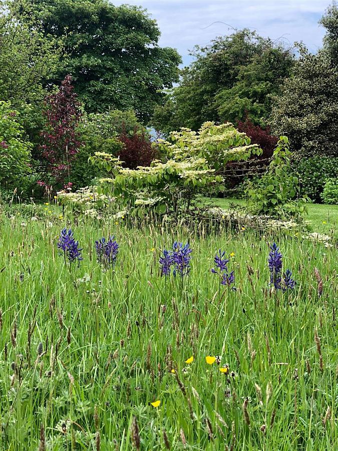 Kilcoan Gardens, 240 Middle Road