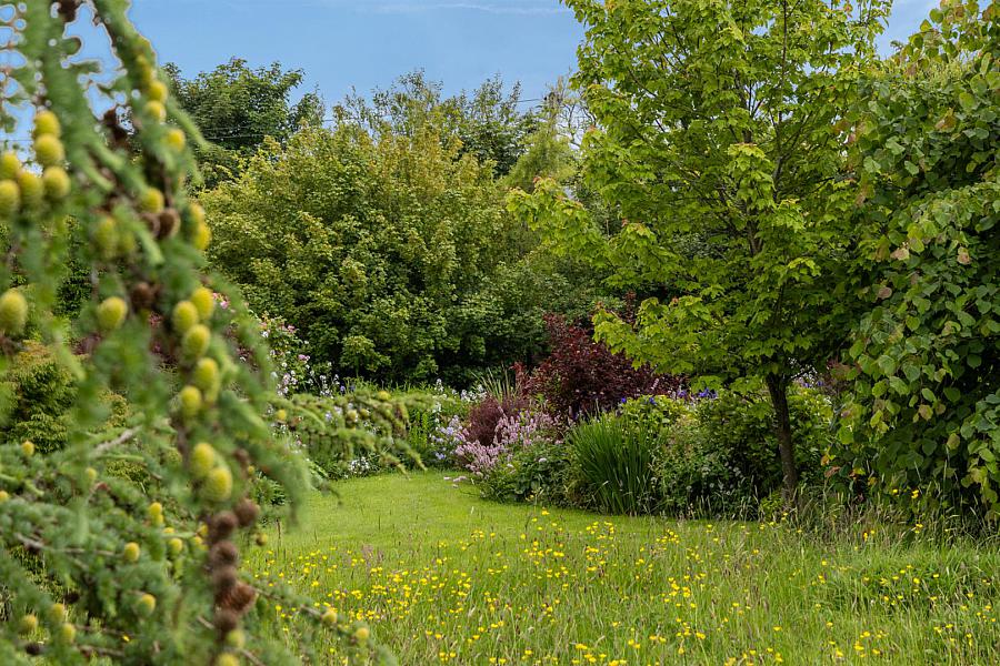 Kilcoan Gardens, 240 Middle Road