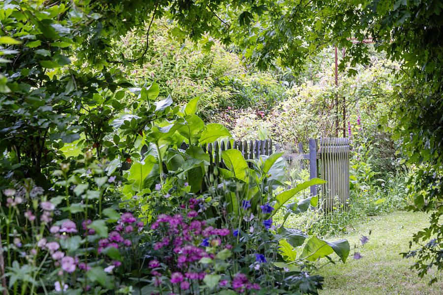 Kilcoan Gardens, 240 Middle Road