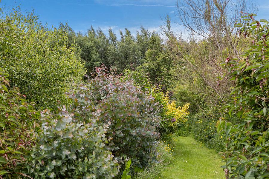 Kilcoan Gardens, 240 Middle Road