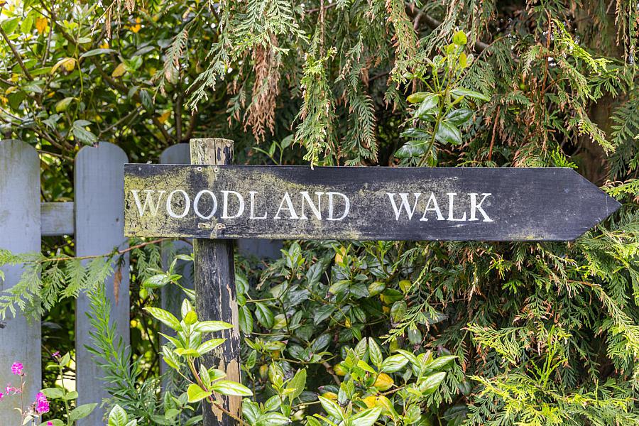 Kilcoan Gardens, 240 Middle Road