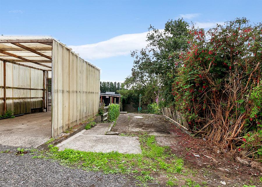 49 Doagh Road