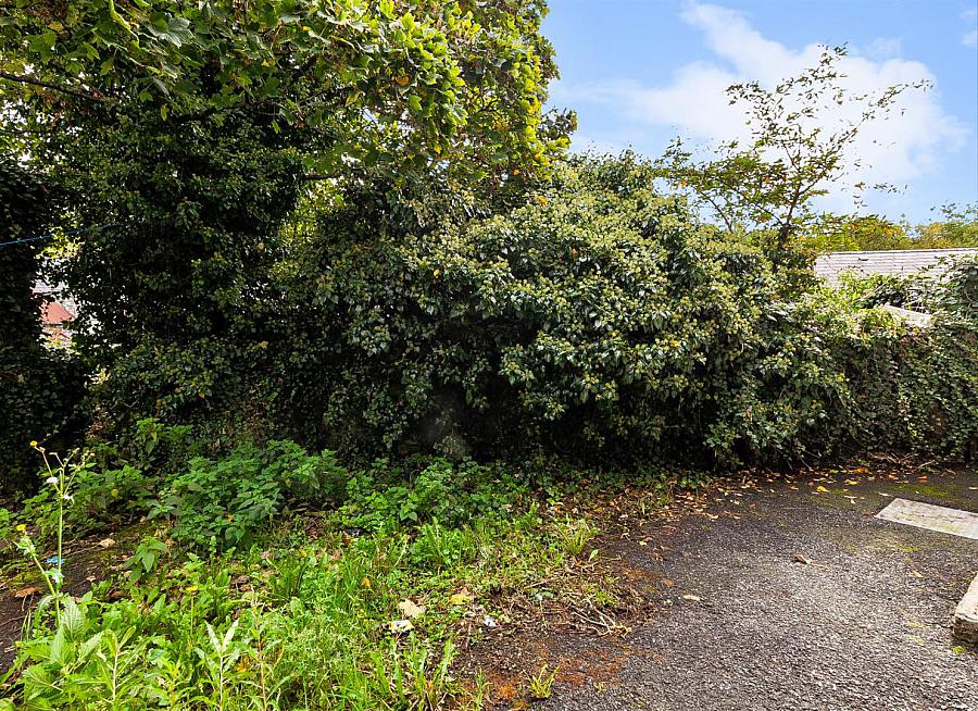 5 Whitewell Road