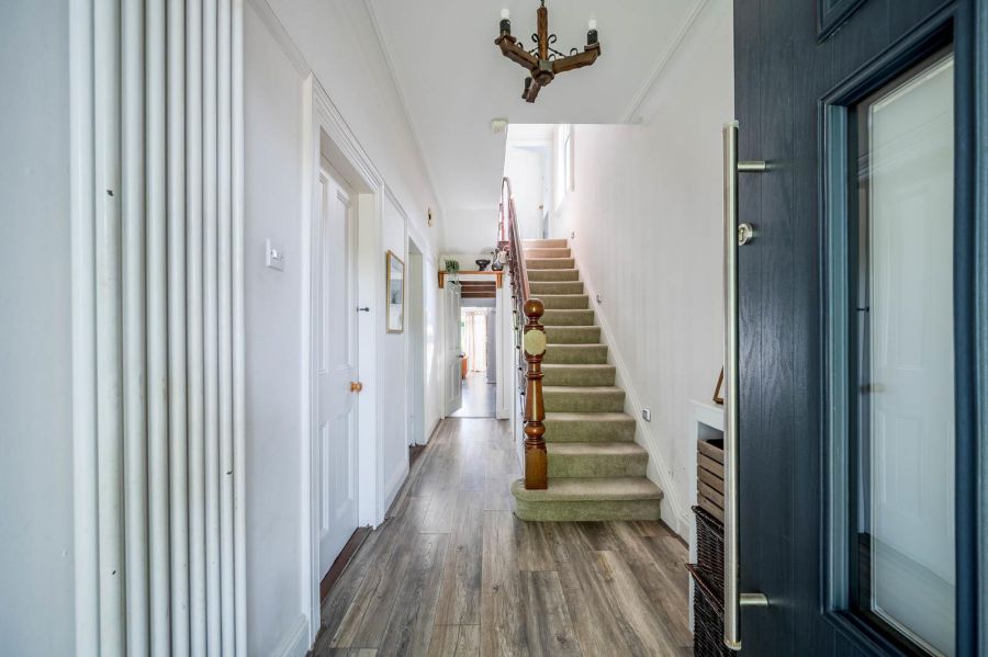 8 Belmont Park