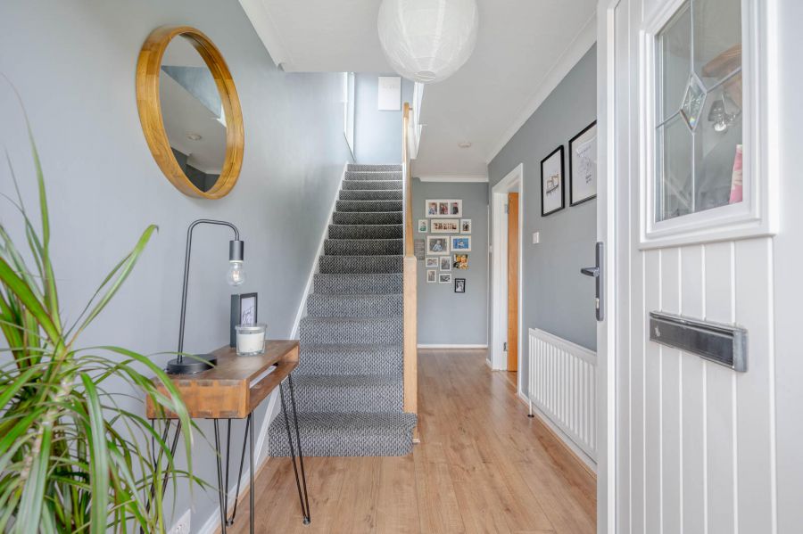 17 Orangefield Road