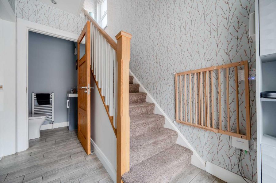 61 Orangefield Road