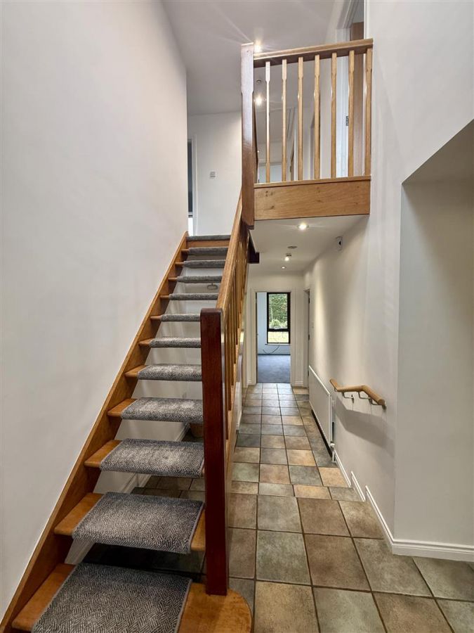 19 Meadowlands