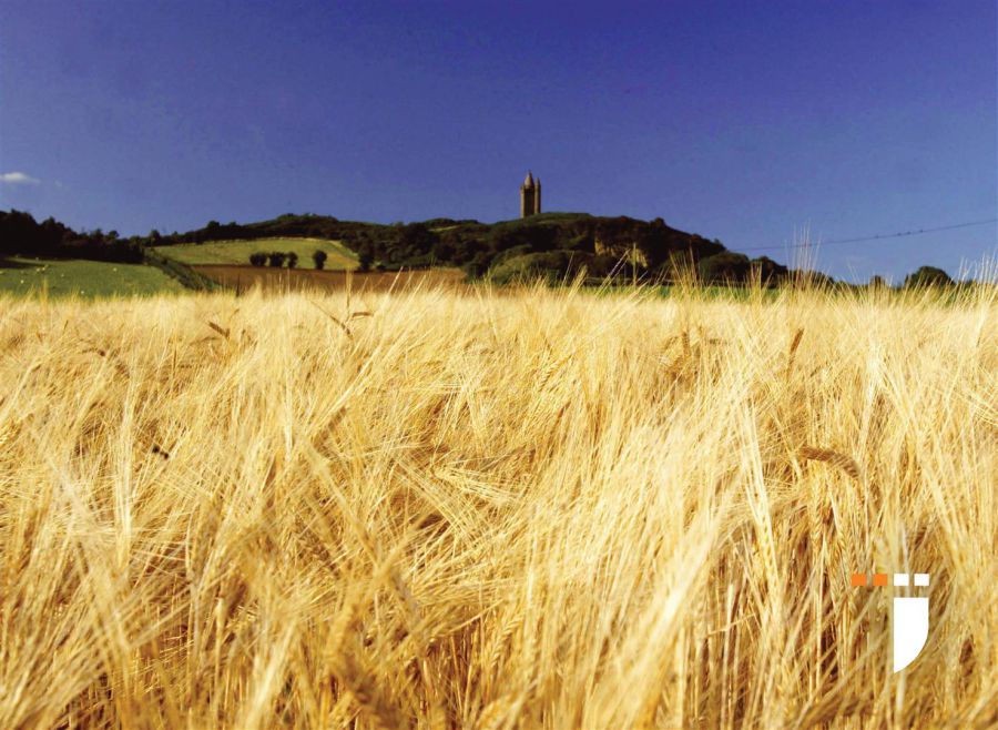 The Penrose, Site 462 Enler Village