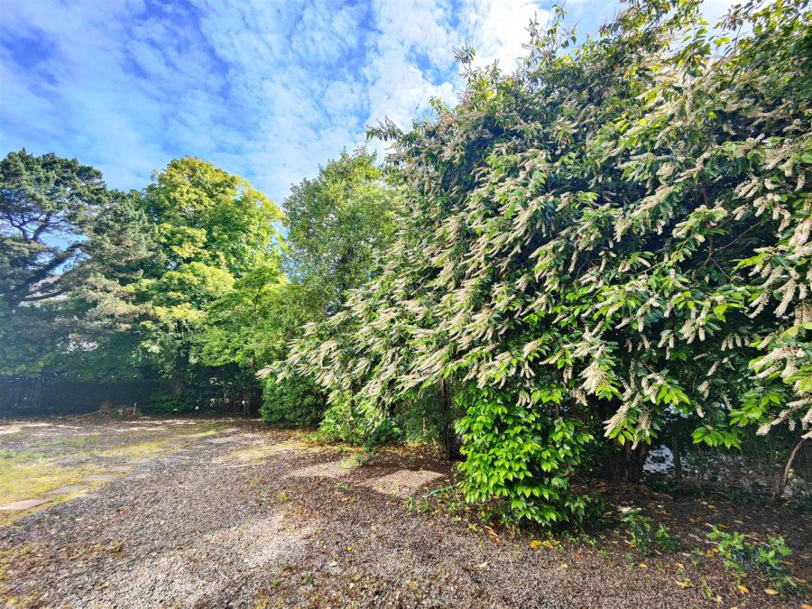 Apt 2, 3 Chichester Park South