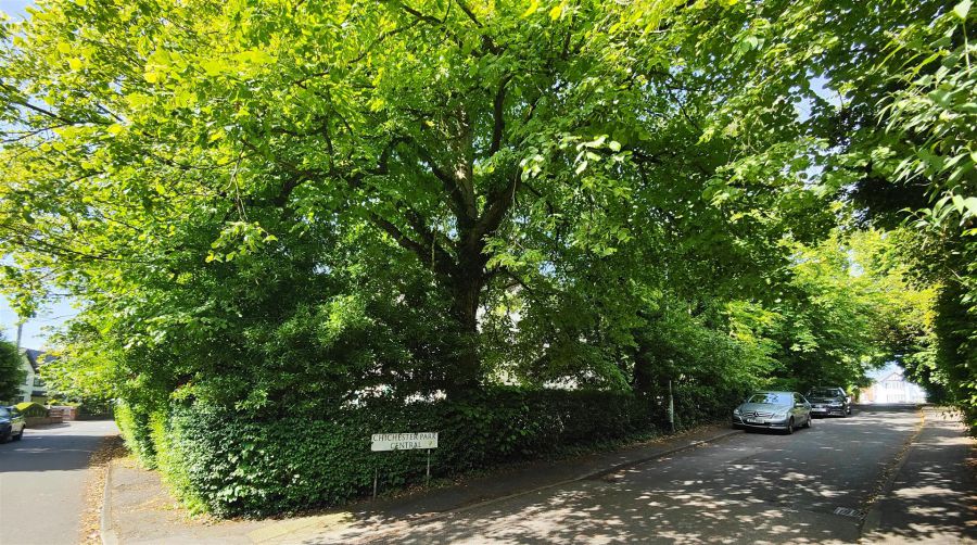 Apt 2, 3 Chichester Park South