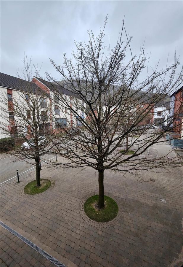12F Heath Lodge Square 12F Heath Lodge Square