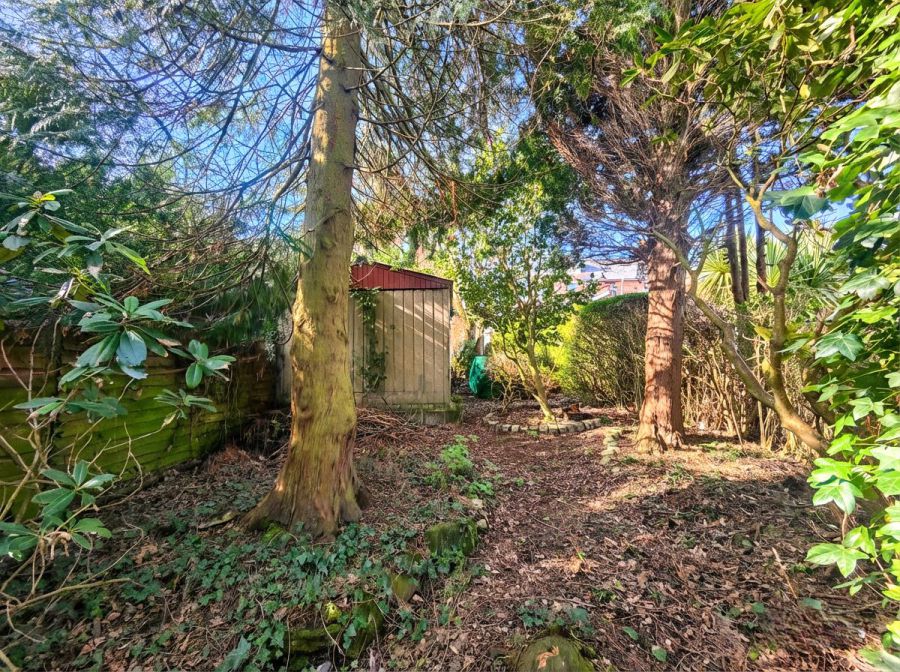 Honeyford, 457 Oldpark Road