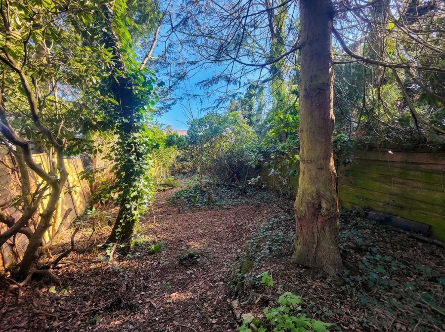 Honeyford, 457 Oldpark Road