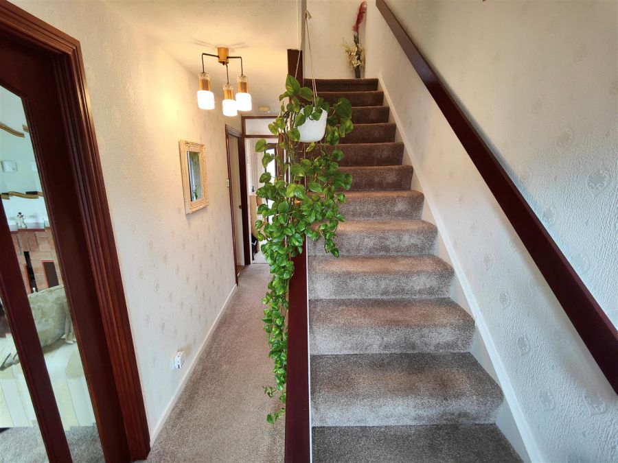 131F Old Westland Road