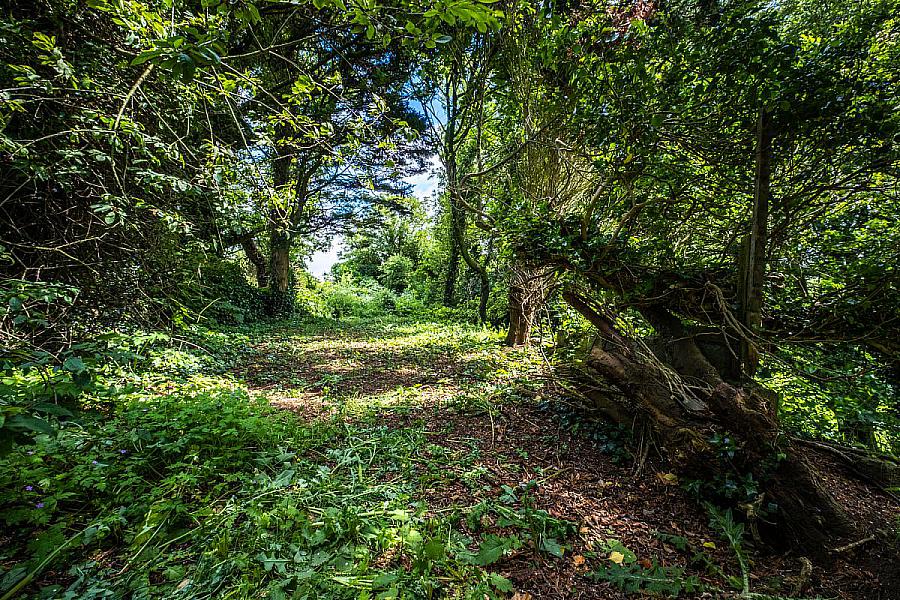 33 - 35 St. Paul's Road, (House, Retail Premises, Barn & Lands)