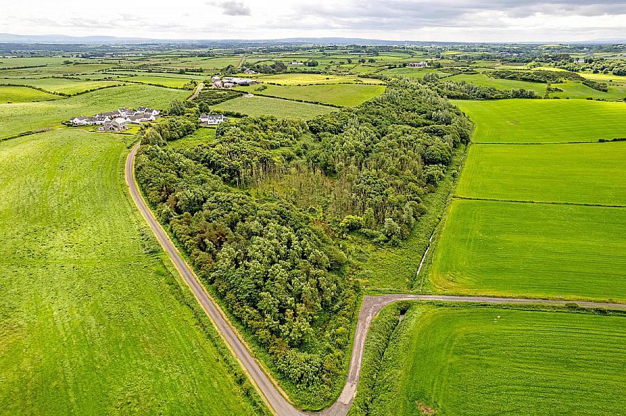 Woodland At 26 Leeke Road