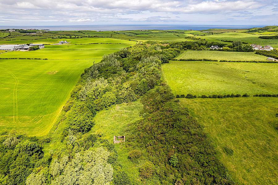 Woodland At 26 Leeke Road