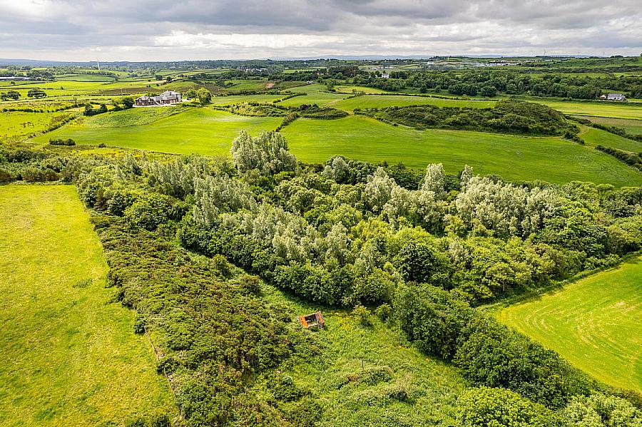 Woodland At 26 Leeke Road