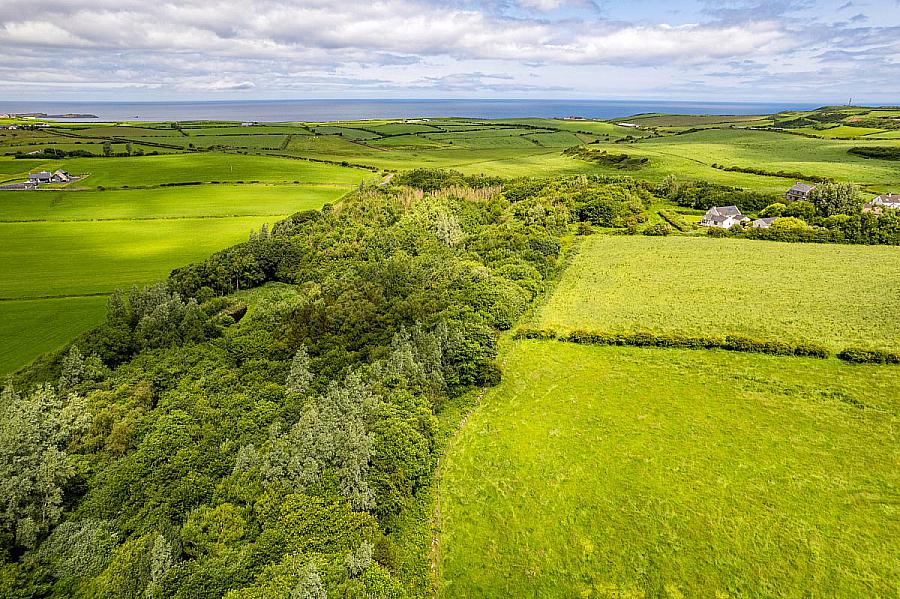 Woodland At 26 Leeke Road