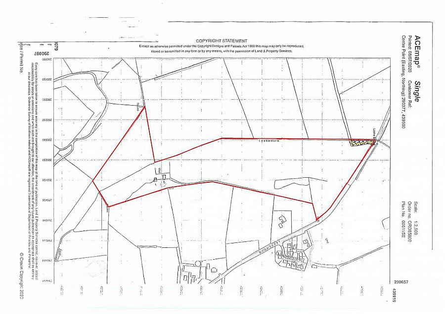 Woodland At 26 Leeke Road