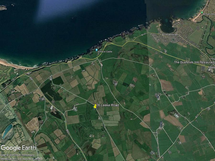 Woodland At 26 Leeke Road