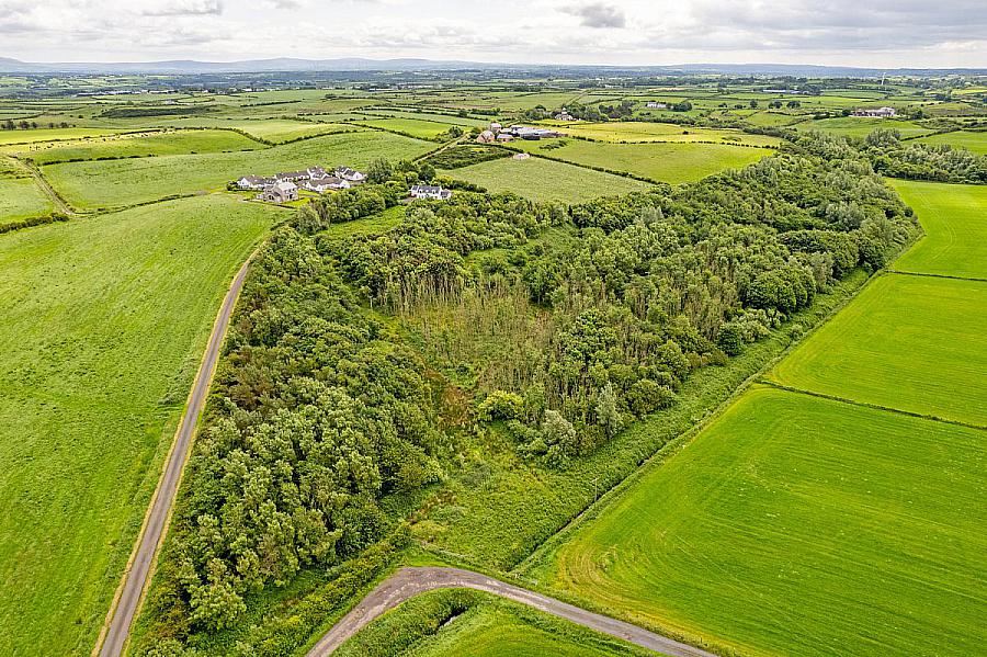 Woodland At 26 Leeke Road