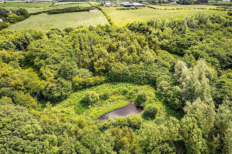 Woodland At 26 Leeke Road