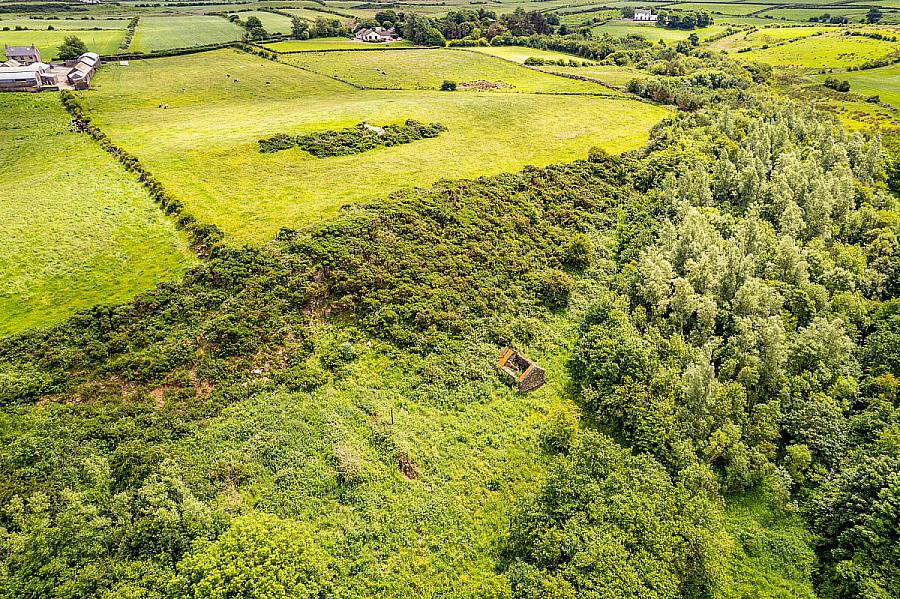 Woodland At 26 Leeke Road