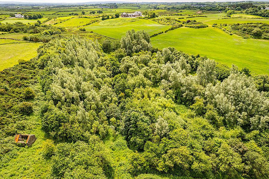 Woodland At 26 Leeke Road