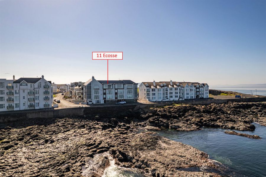 11 Ecosse