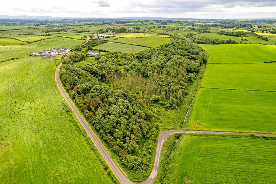 Woodland at 26 Leeke Road
