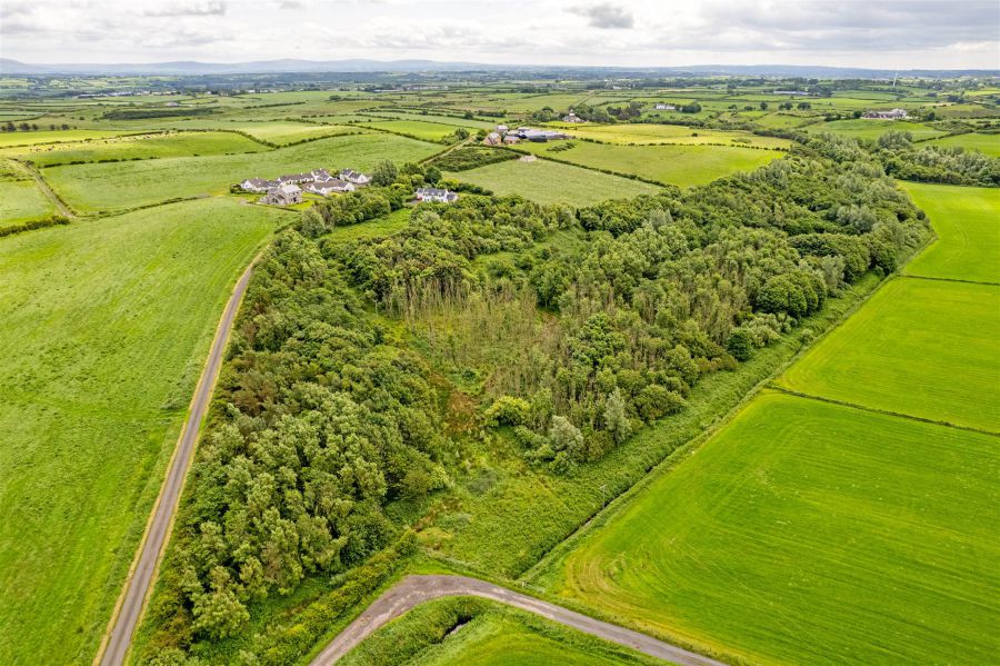 Woodland At 26 Leeke Road