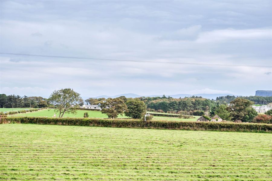 Bushbane Kennels, Cattery & Grooming 28 Whitepark Road