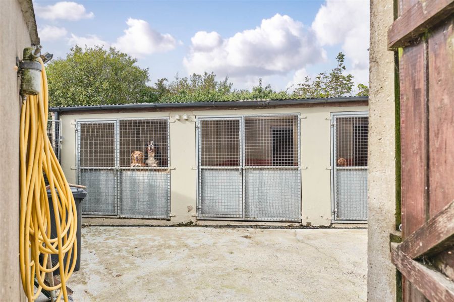 Bushbane Kennels, Cattery & Grooming 28 Whitepark Road