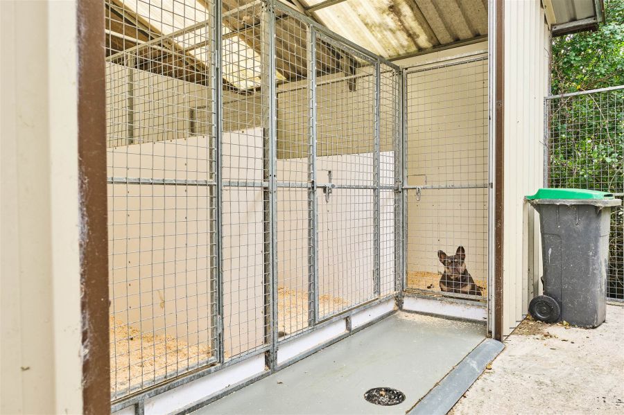 Bushbane Kennels, Cattery & Grooming 28 Whitepark Road