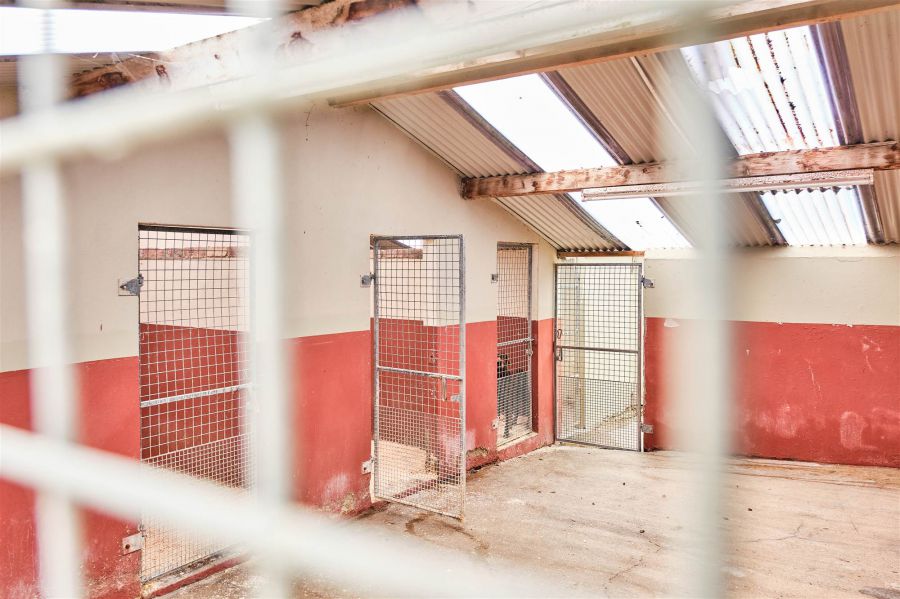 Bushbane Kennels, Cattery & Grooming 28 Whitepark Road