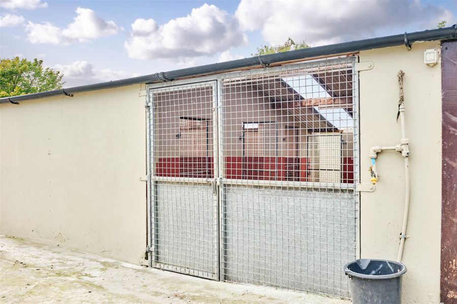 Bushbane Kennels, Cattery & Grooming 28 Whitepark Road