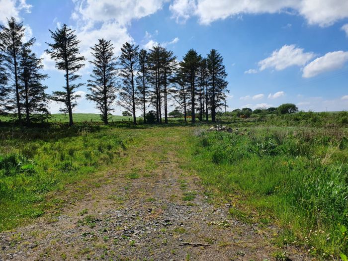 130M North Of Kilmahamogue Road 130M North Of Kilmahamogue Road