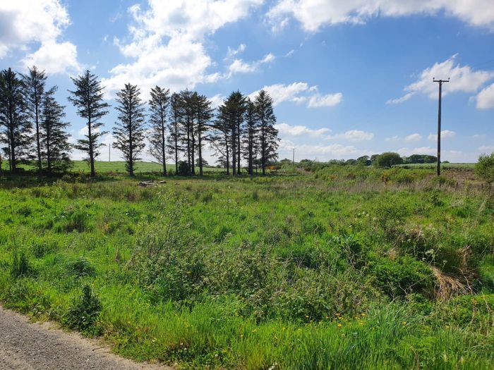 130m North Of Kilmahamogue Road