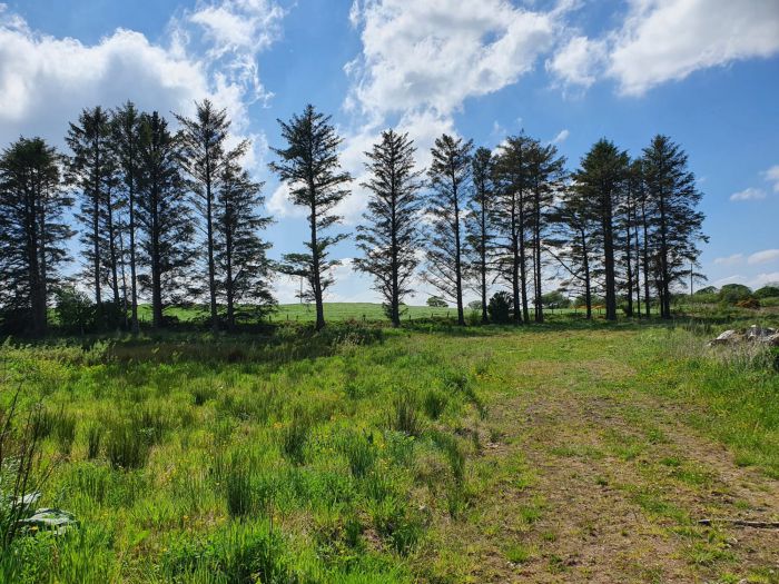130m North Of Kilmahamogue Road