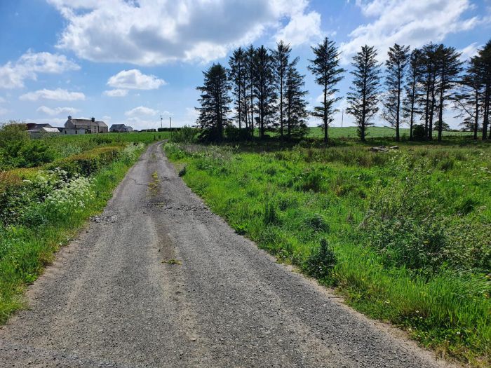 130m North Of Kilmahamogue Road