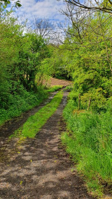 25 Metres North West Of 67 Moycraig Road 25 Metres North West Of 67 Moycraig Road