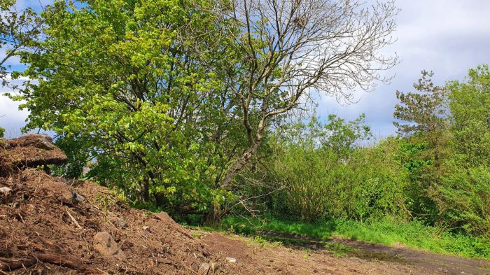 25 Metres North West Of 67 Moycraig Road 25 Metres North West Of 67 Moycraig Road